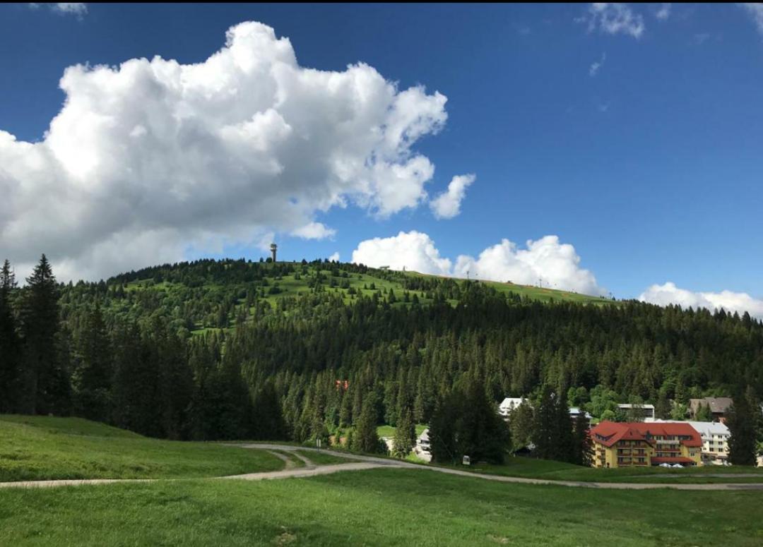 Ferienwohnung Feldberg Mit Whirlpool Direkt An Der Skipiste Exterior photo